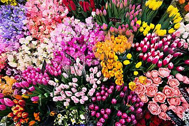 《神狱塔：断罪玛丽2》上架Steam 新预告公布